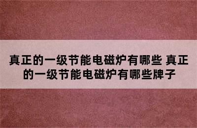 真正的一级节能电磁炉有哪些 真正的一级节能电磁炉有哪些牌子